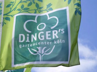 Dinger's – Hier wächst die Freude