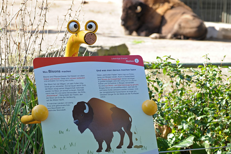 Wassily & Elektra – RheinEnergie / Kölner Zoo