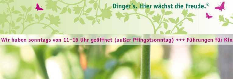 Grünes Leben – Dinger‘s Gartencenter